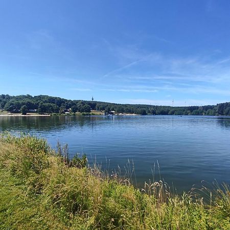Ferienwohnung Zum Rosengarten West015 Westerwald Driedorf Eksteriør billede
