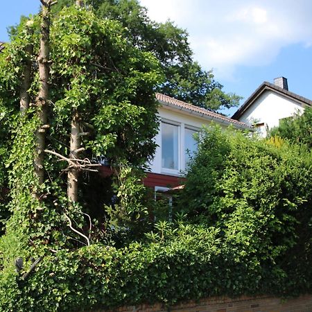 Ferienwohnung Zum Rosengarten West015 Westerwald Driedorf Eksteriør billede
