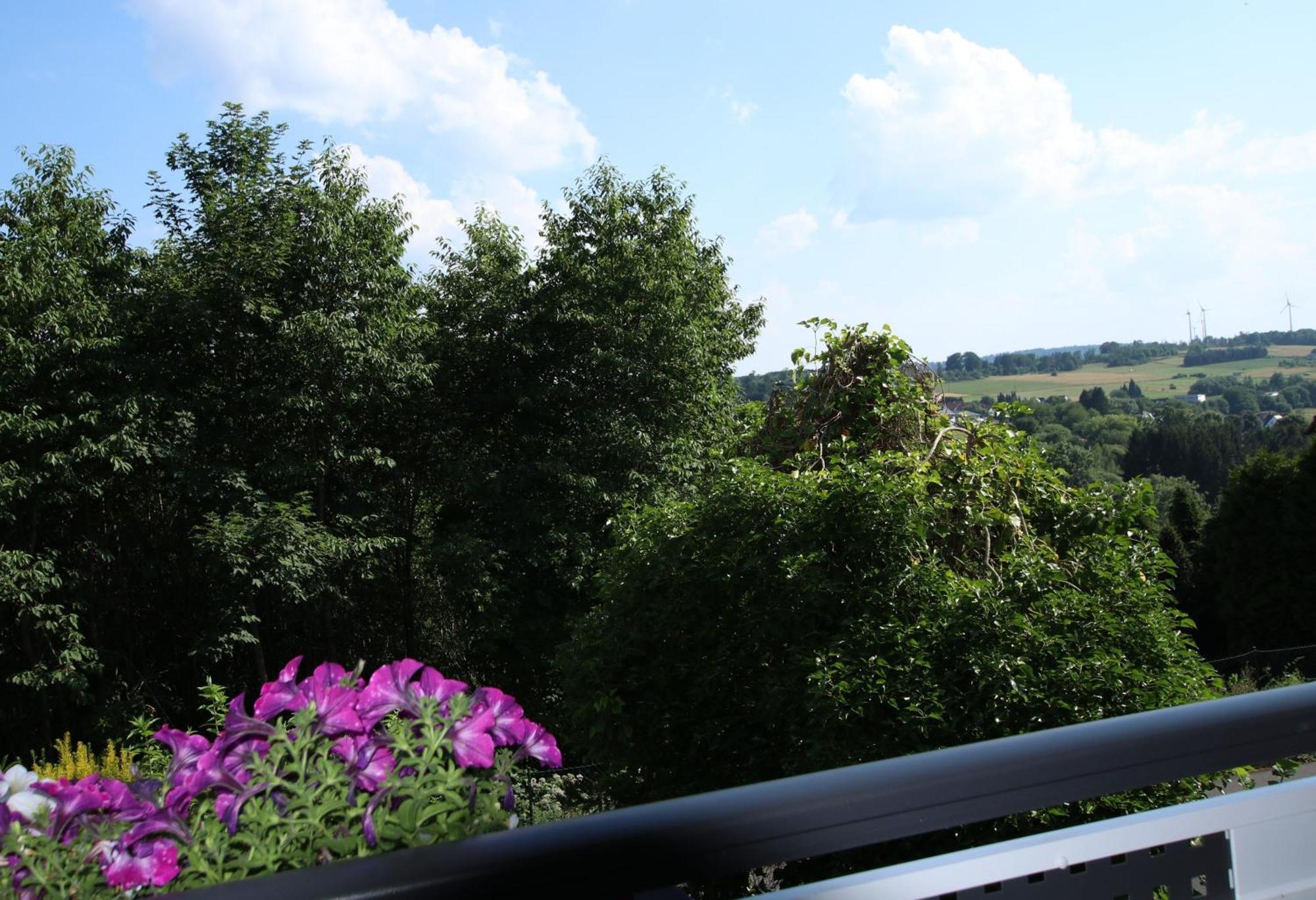 Ferienwohnung Zum Rosengarten West015 Westerwald Driedorf Eksteriør billede