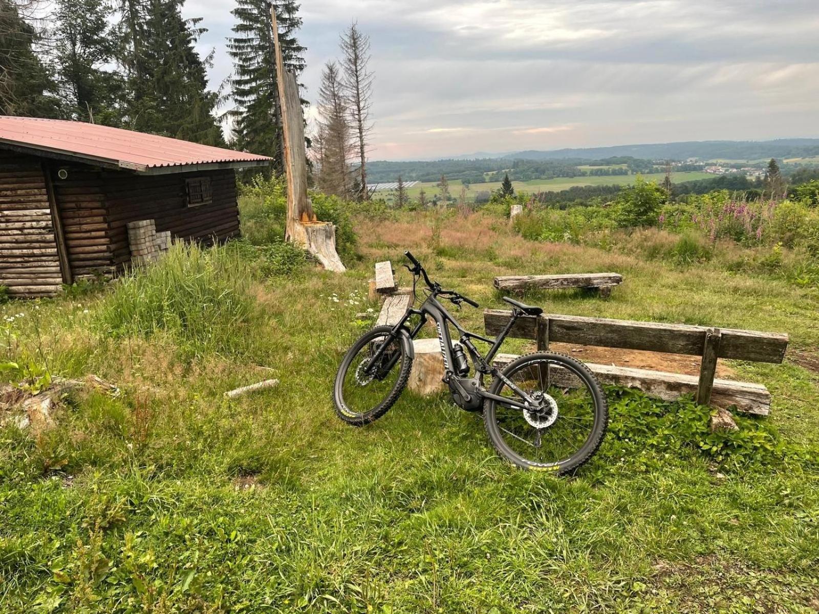 Ferienwohnung Zum Rosengarten West015 Westerwald Driedorf Eksteriør billede