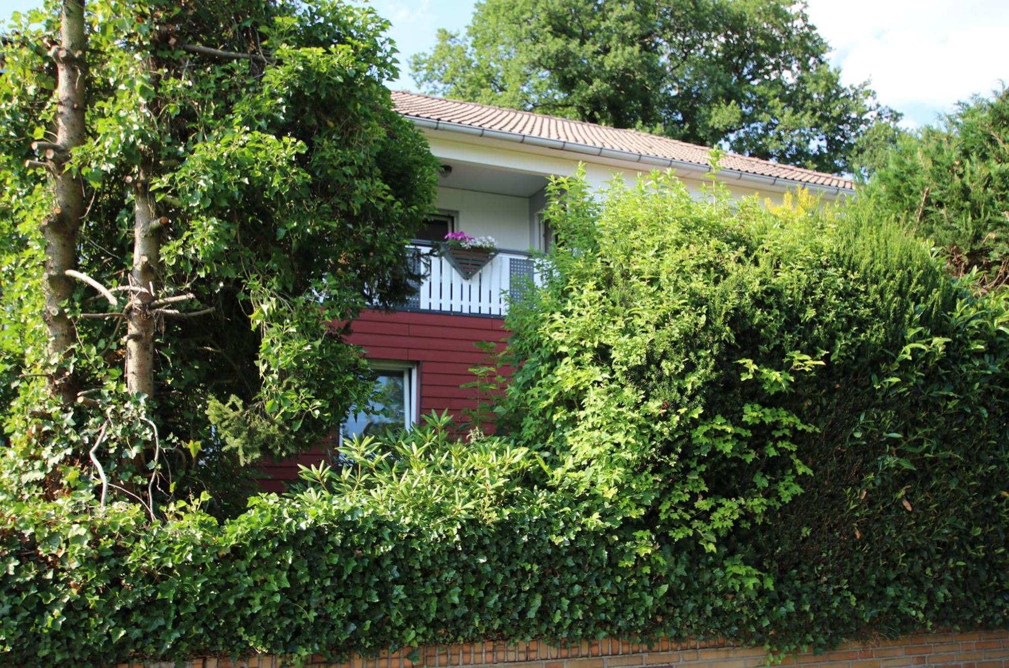 Ferienwohnung Zum Rosengarten West015 Westerwald Driedorf Eksteriør billede