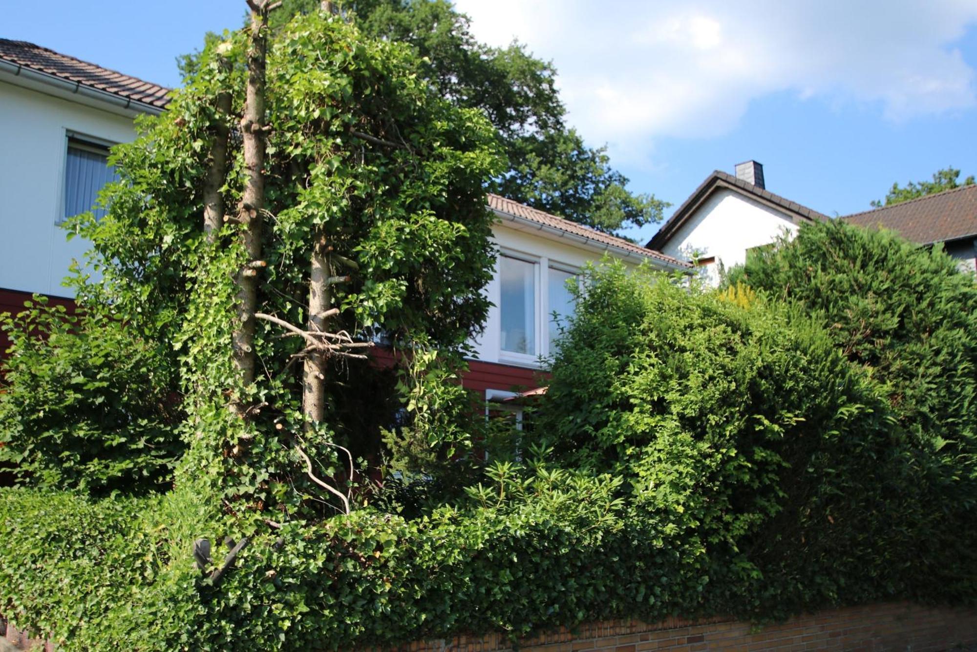 Ferienwohnung Zum Rosengarten West015 Westerwald Driedorf Eksteriør billede